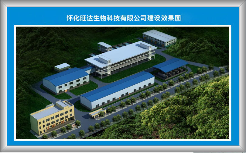 博鱼在线