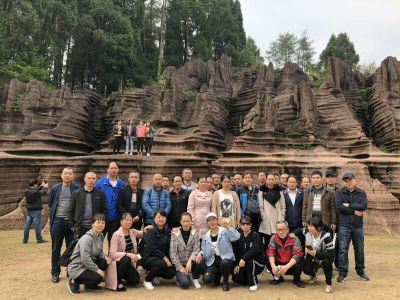 博鱼在线组织2019年度员工旅游活动